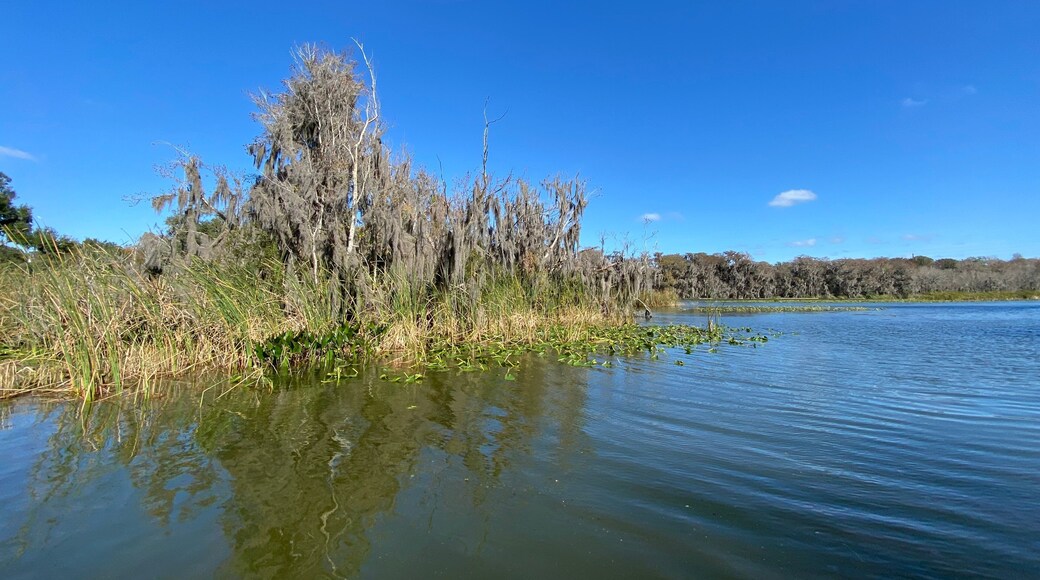 Little Lake Harris is a 2743 acre, Public lake located in Astatula, Tavares, and Howey-in-the-Hills in Lake County. fishing in this lake