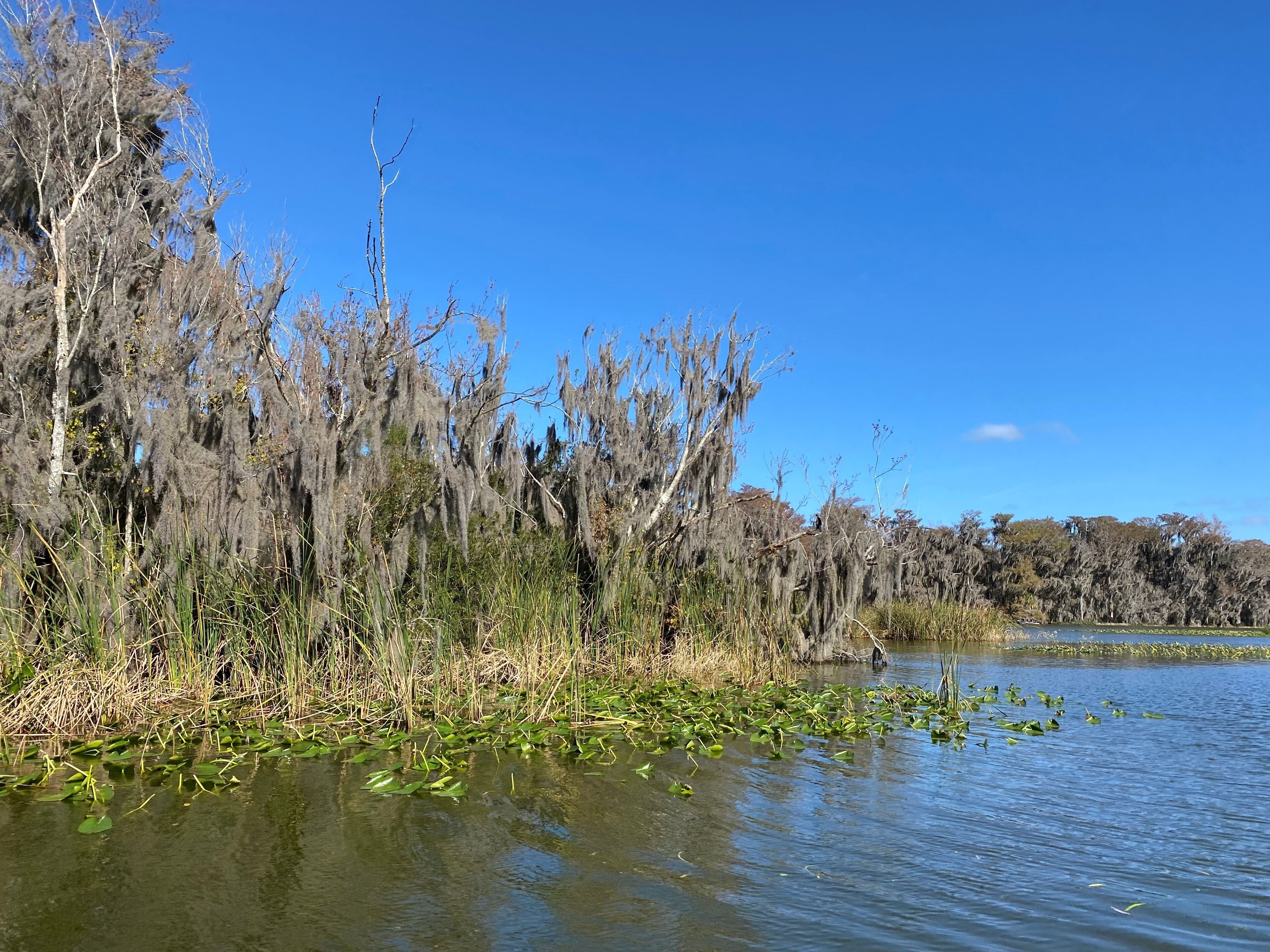 Little Lake Harris is a 2743 acre, Public lake located in Astatula, Tavares, and Howey-in-the-Hills in Lake County.  fishing in this lake 