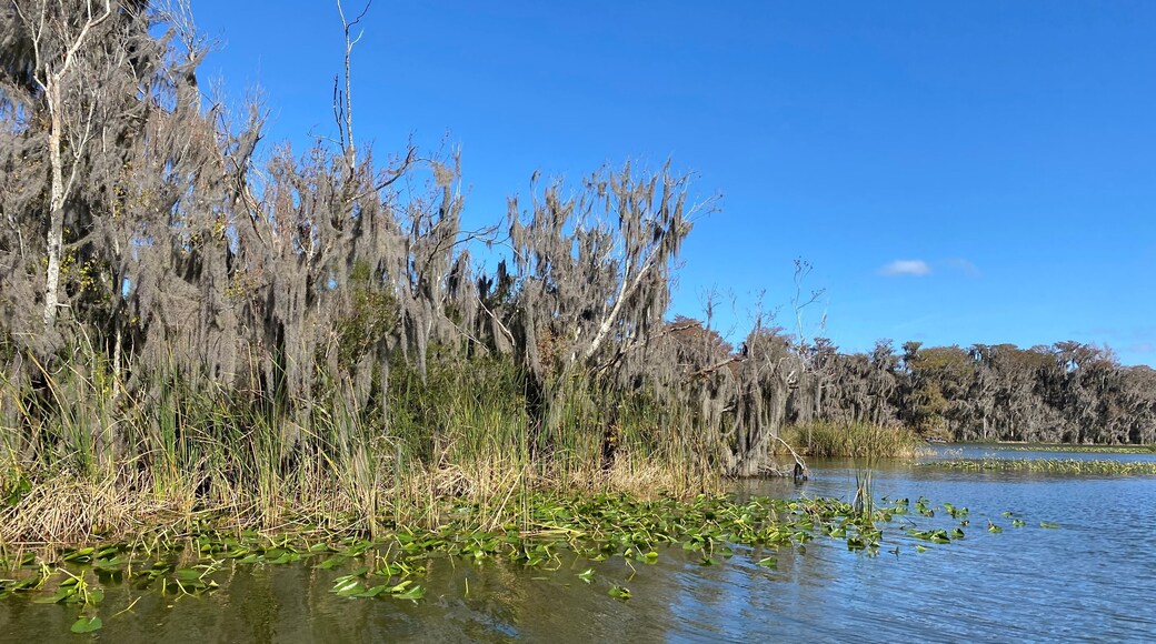 Little Lake Harris is a 2743 acre, Public lake located in Astatula, Tavares, and Howey-in-the-Hills in Lake County. fishing in this lake