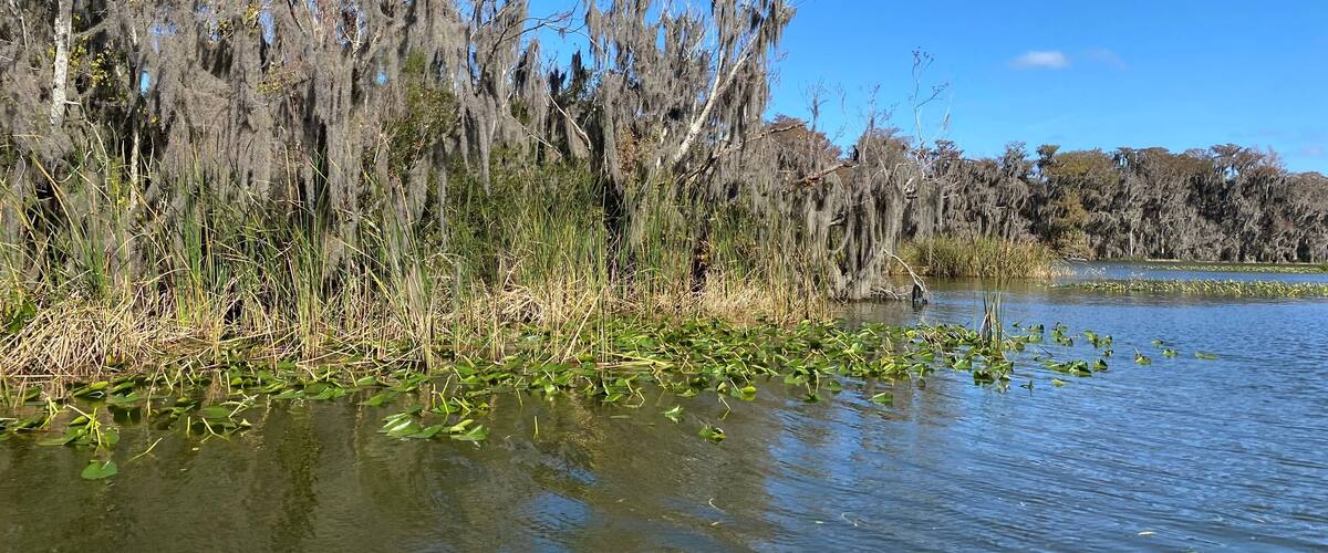 Little Lake Harris is a 2743 acre, Public lake located in Astatula, Tavares, and Howey-in-the-Hills in Lake County. fishing in this lake