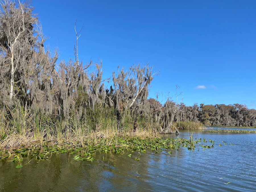 Little Lake Harris is a 2743 acre, Public lake located in Astatula, Tavares, and Howey-in-the-Hills in Lake County. fishing in this lake