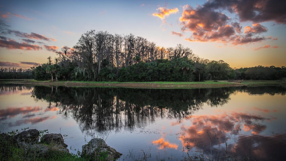 A calm lake reflecting trees and a sunset sky.