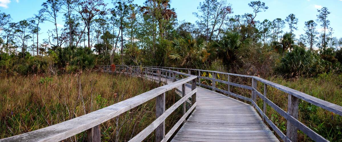 Boardwalk path at Corkscrew Swamp Sanctuary in Naples