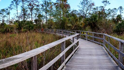 Boardwalk path at Corkscrew Swamp Sanctuary in Naples