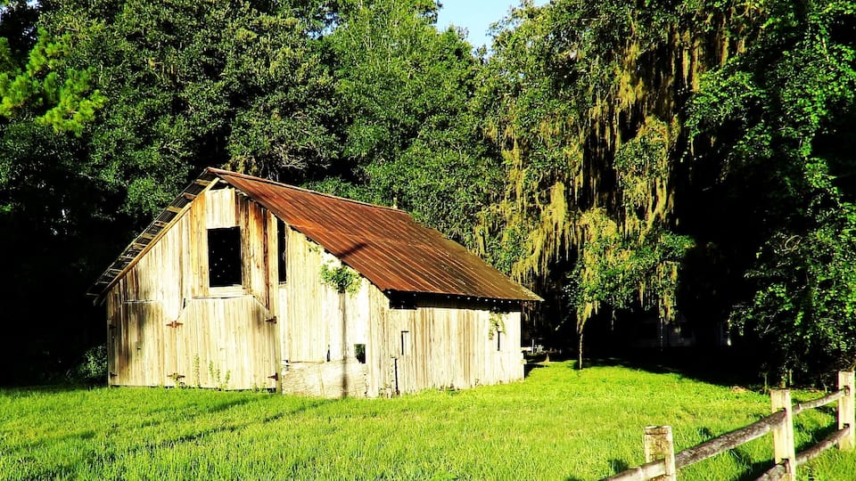 A rustic wooden barn with a corrugated metal roof, surrounded by lush green grass and dense trees.
