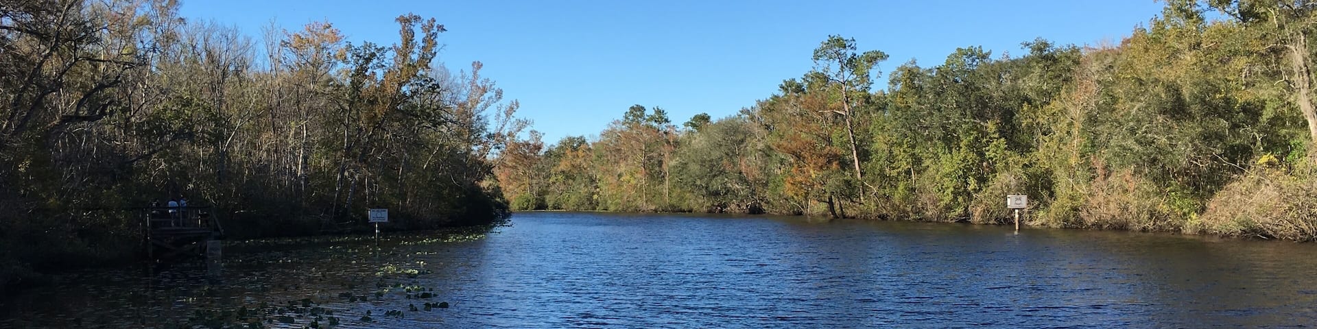 Chill in Florida