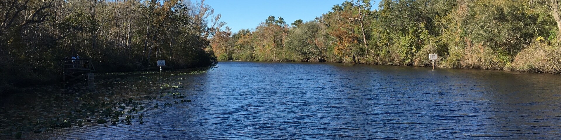 Chill in Florida