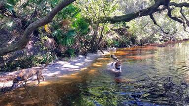 Nice trail for people dogs and horses. Lots of sand burrs getting stuck in pups paws though