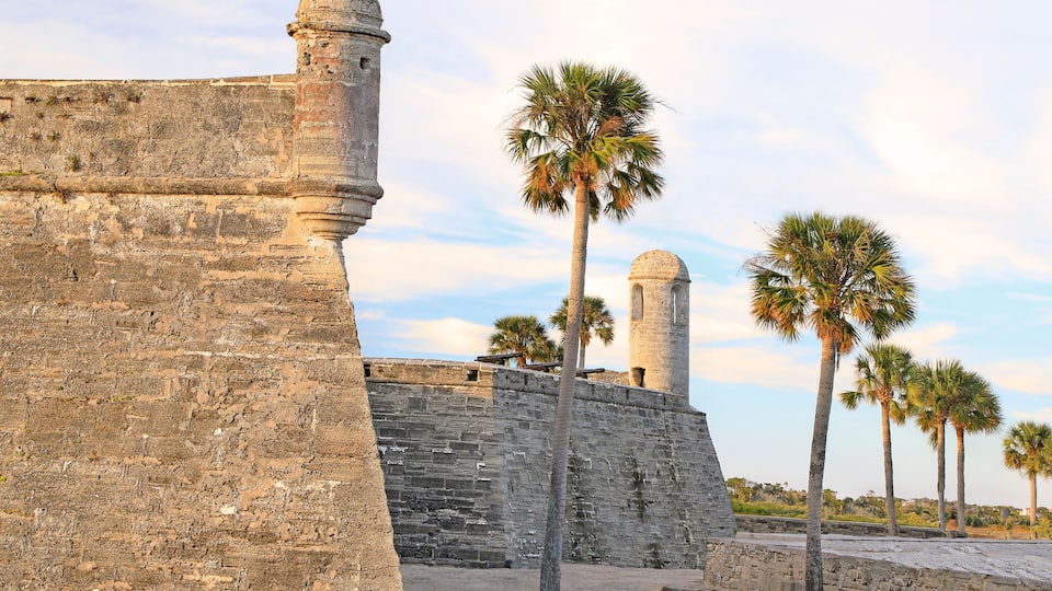 A stone fortification with palm trees and a tower.