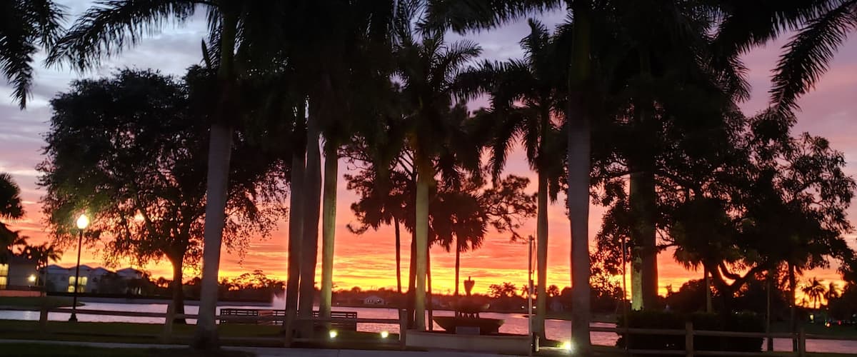 Un atardecer sobre un parque con palmeras y una masa de agua.