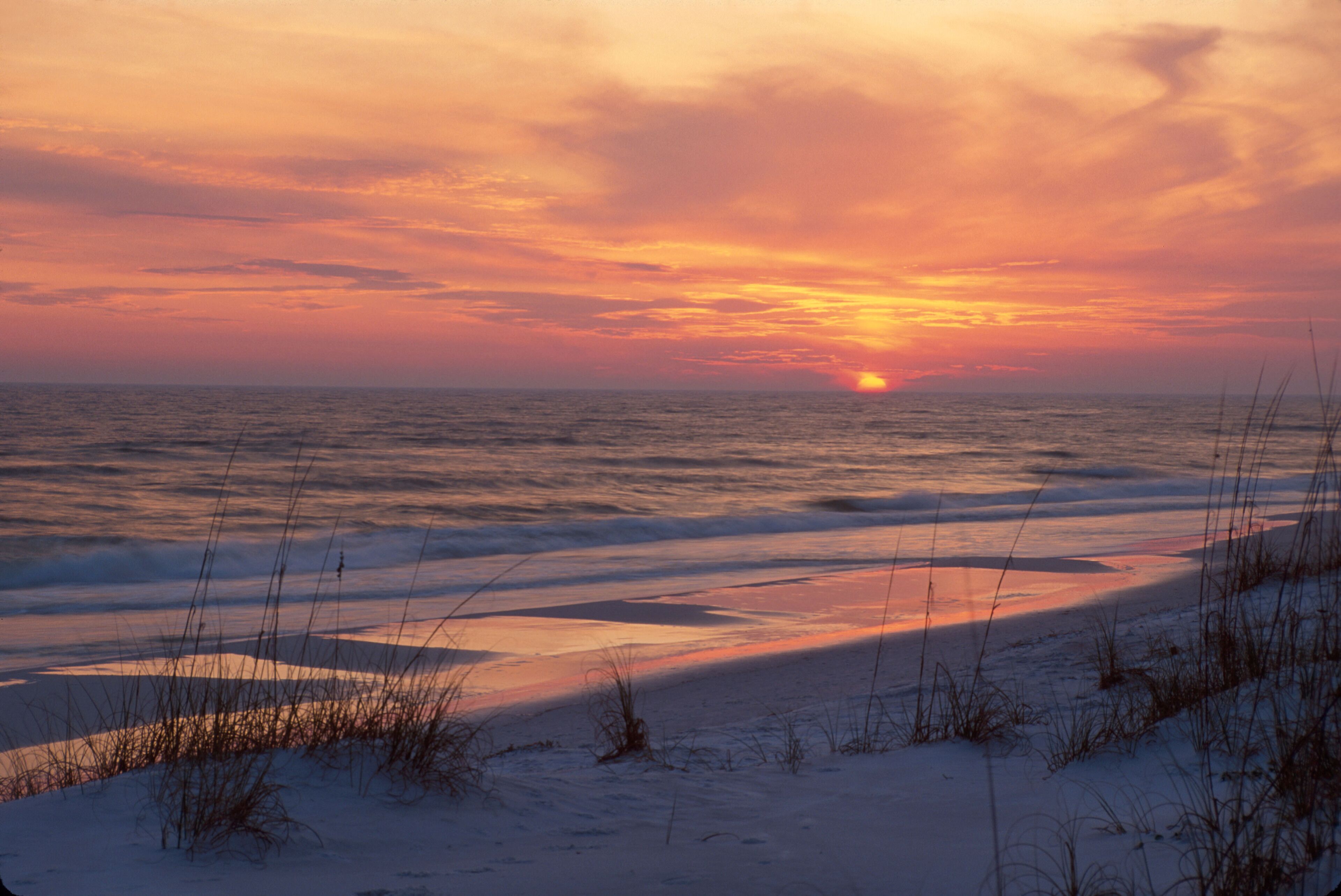 ARE4EF Florida Gulf Coast Dune Allen Beach sea oats natural dunes sunset