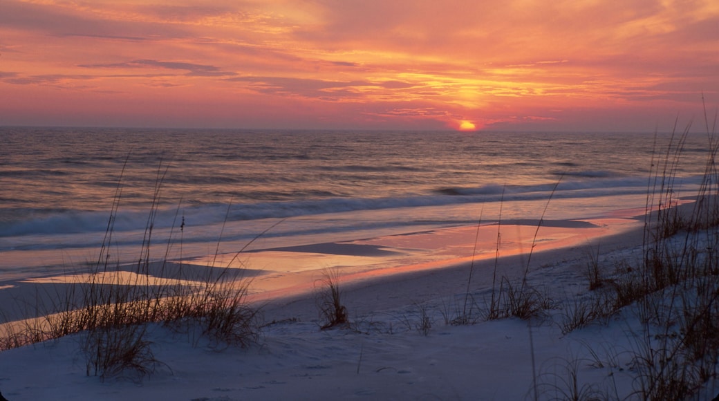 ARE4EF Florida Gulf Coast Dune Allen Beach sea oats natural dunes sunset