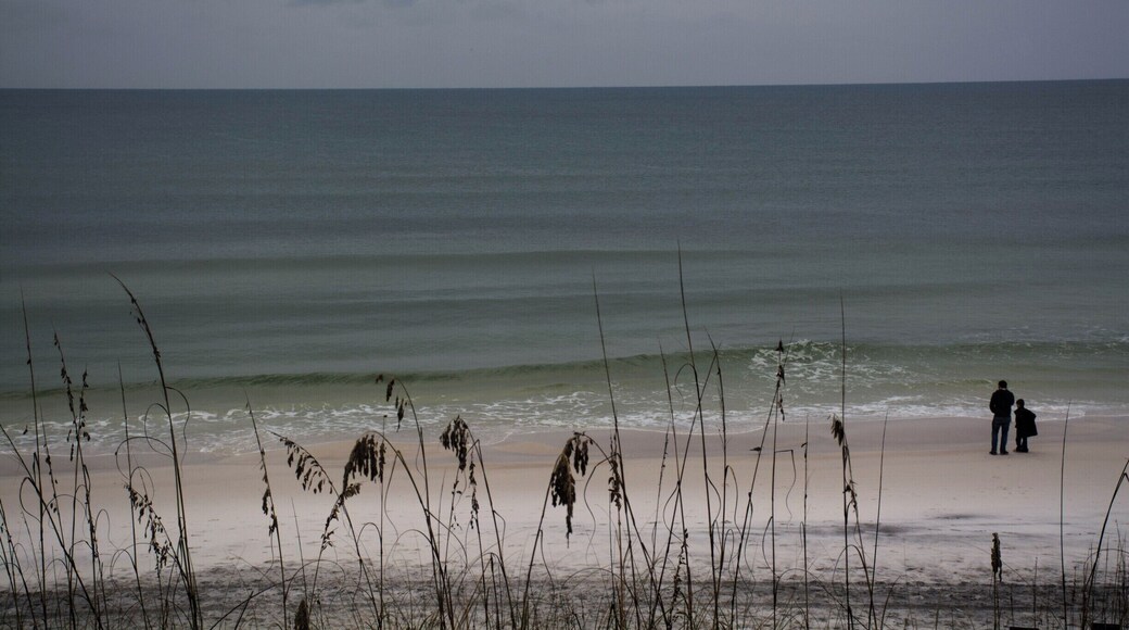 The Gulf of Mexico on a rainy autumn day at Seaside, Florida.