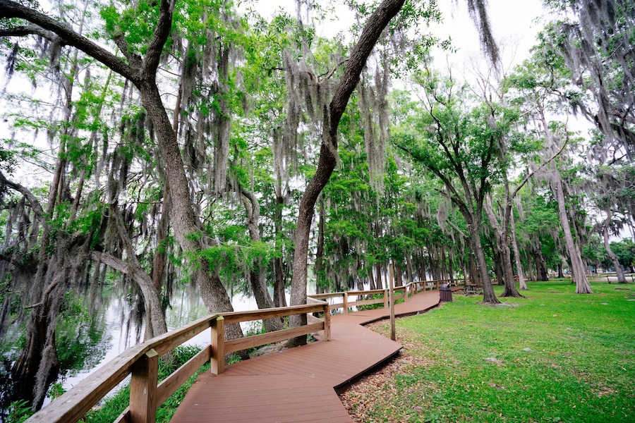 Hillsborough river at Tampa, Florida