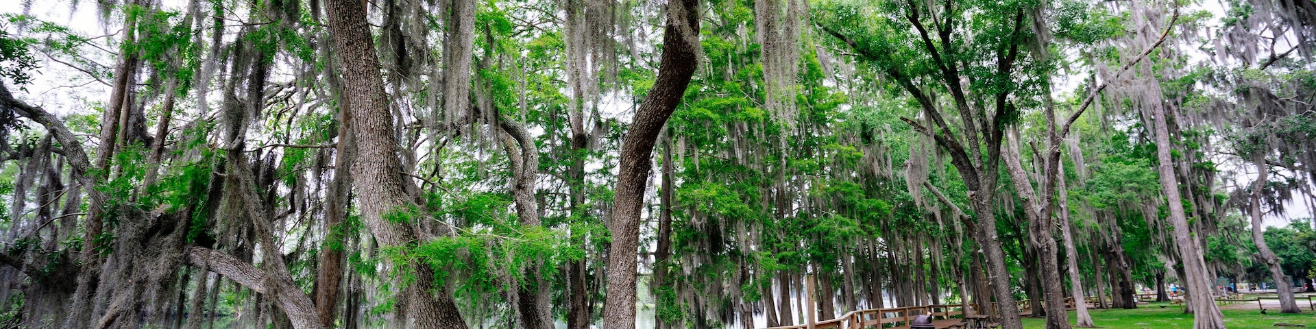 Hillsborough river at Tampa, Florida