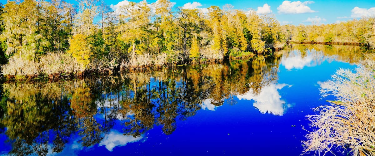 Winter Landscape of Hillsborough river at Lettuce lake park