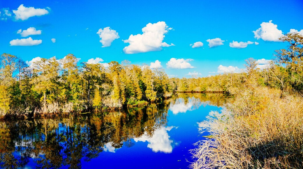 Winter Landscape of Hillsborough river at Lettuce lake park