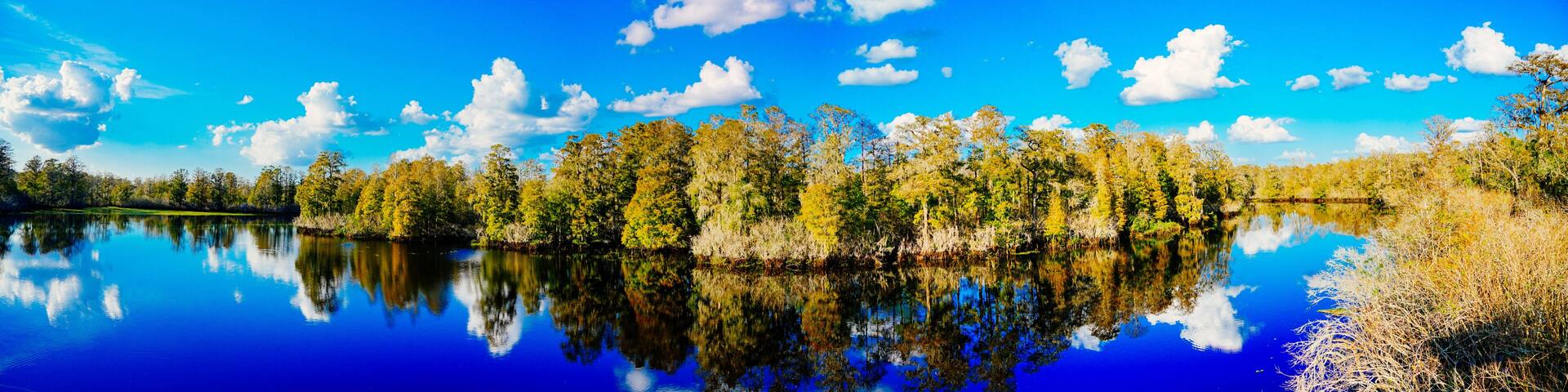 Winter Landscape of Hillsborough river at Lettuce lake park
