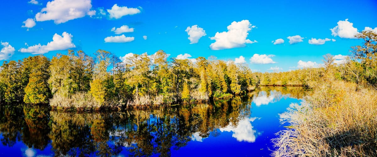 A calm lake reflecting trees and sky.