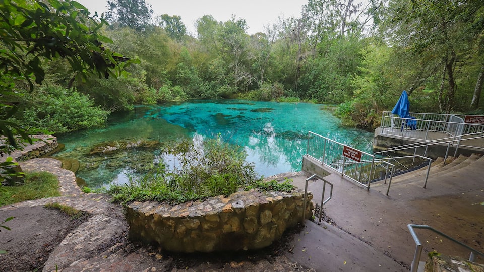 A clear blue pool surrounded by lush greenery and stone steps leading down to the water.