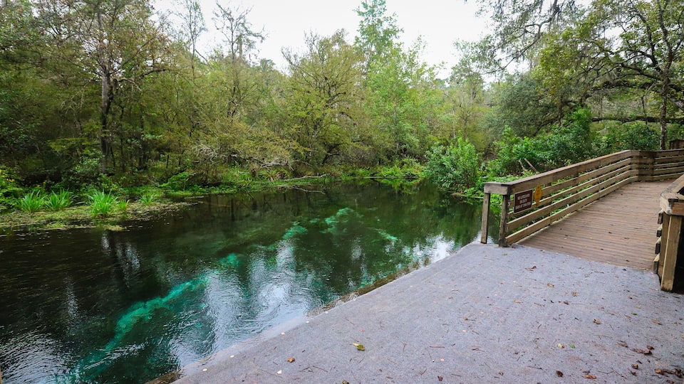 A wooden bridge over a river with clear water reflecting the surrounding greenery.