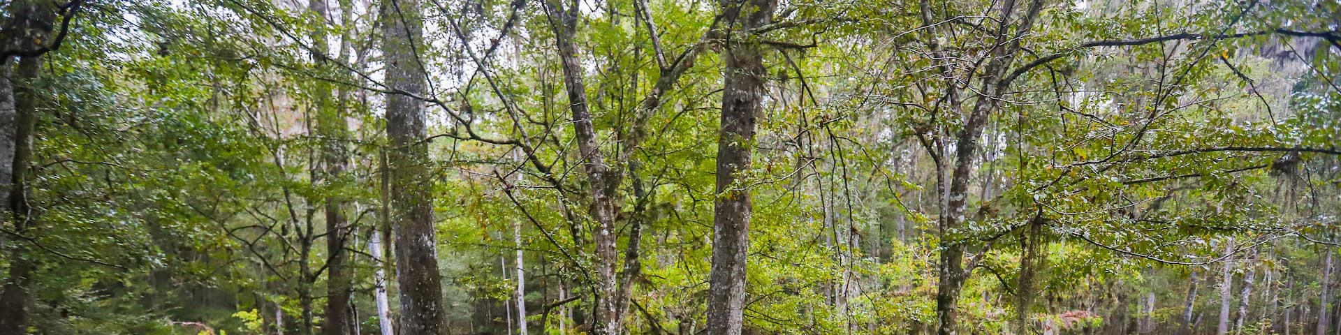 FORT WHITE, FLORIDA, UNITED STATES - Oct 21, 2018: Ichetucknee Springs river float access