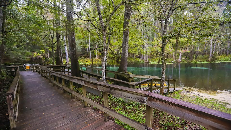 A wooden boardwalk leading to a dock over a calm river surrounded by dense forest.