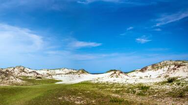 Sand dunes at Cumberland Island National Seashore.