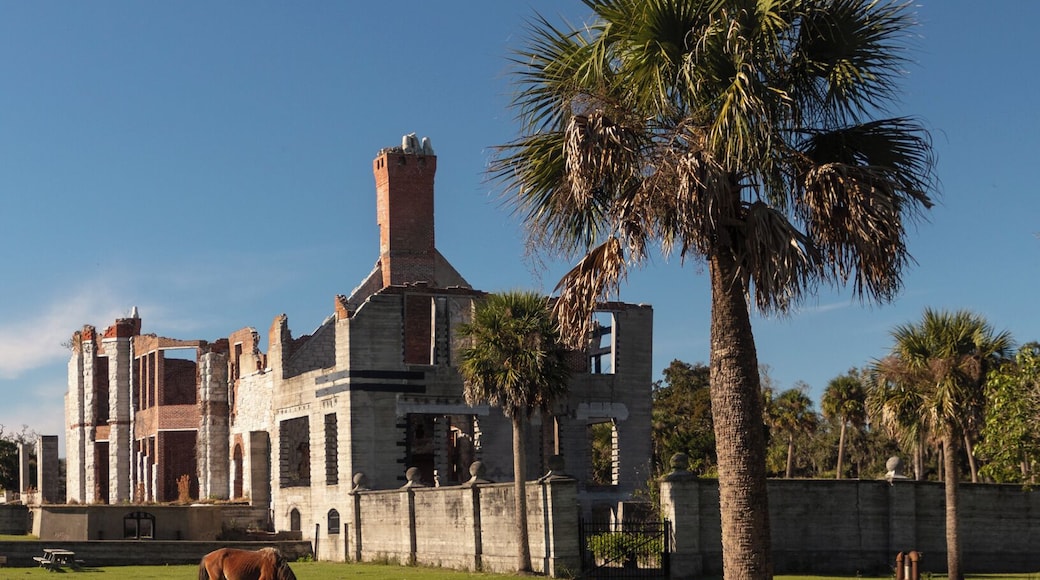 Dungeness on Cumberland Island, Georgia, is a ruined mansion that is part of a historic district that was the home of several families significant in American history. James Oglethorpe first built on Cumberland Island in 1736, building a hunting lodge that he named Dungeness. Oglethorpe named the place after Dungeness, in England. The next Dungeness was the legacy of Revolutionary War hero Nathanael Greene, who had acquired 11,000 acres of island land in exchange for a bad debt. His widow built a four-story tabby mansion in 1803, over a Timucuan shell mound. During the War of 1812 the island was occupied by the British, who used the house as a headquarters.
In 1818 Henry “Light-Horse Harry” Lee, a dashing cavalry commander during the Revolutionary War and father of Robert E. Lee, stayed at the house until his death on March 25, 1818, cared for by Greene's daughter Louisa, and was laid to rest in nearby cemetery with full military honors provided by an American fleet stationed at St. Marys, Georgia. The house was abandoned during the U.S. Civil War and burned in 1866.
In the 1880s the property was purchased by Thomas M. Carnegie, brother of Andrew Carnegie, who began to build a new mansion on the site. The 59-room Queen Anne style mansion and grounds were completed after Carnegie's death in 1886. His wife Lucy continued to live at Dungeness and built other estates for her children, including Greyfield for Margaret Carnegie, Plum Orchard for George Lauder Carnegie, and Stafford Plantation. By this time, the Carnegies owned 90% of the island.
The Carnegies moved out of Dungeness in 1925. In 1959 the Dungeness mansion was destroyed by fire, alleged to be arson. The ruins are today preserved by the National Park Service as part of Cumberland Island National Seashore. They were acquired by the Park Service in 1972.
