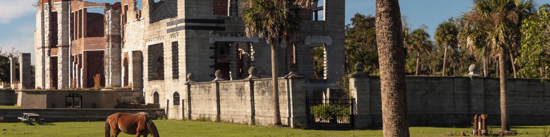Dungeness on Cumberland Island, Georgia, is a ruined mansion that is part of a historic district that was the home of several families significant in American history. James Oglethorpe first built on Cumberland Island in 1736, building a hunting lodge that he named Dungeness. Oglethorpe named the place after Dungeness, in England. The next Dungeness was the legacy of Revolutionary War hero Nathanael Greene, who had acquired 11,000 acres of island land in exchange for a bad debt. His widow built a four-story tabby mansion in 1803, over a Timucuan shell mound. During the War of 1812 the island was occupied by the British, who used the house as a headquarters.
In 1818 Henry “Light-Horse Harry” Lee, a dashing cavalry commander during the Revolutionary War and father of Robert E. Lee, stayed at the house until his death on March 25, 1818, cared for by Greene's daughter Louisa, and was laid to rest in nearby cemetery with full military honors provided by an American fleet stationed at St. Marys, Georgia. The house was abandoned during the U.S. Civil War and burned in 1866.
In the 1880s the property was purchased by Thomas M. Carnegie, brother of Andrew Carnegie, who began to build a new mansion on the site. The 59-room Queen Anne style mansion and grounds were completed after Carnegie's death in 1886. His wife Lucy continued to live at Dungeness and built other estates for her children, including Greyfield for Margaret Carnegie, Plum Orchard for George Lauder Carnegie, and Stafford Plantation. By this time, the Carnegies owned 90% of the island.
The Carnegies moved out of Dungeness in 1925. In 1959 the Dungeness mansion was destroyed by fire, alleged to be arson. The ruins are today preserved by the National Park Service as part of Cumberland Island National Seashore. They were acquired by the Park Service in 1972.