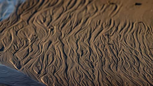 I really wanted to make this abstract work with the water. Hope it does