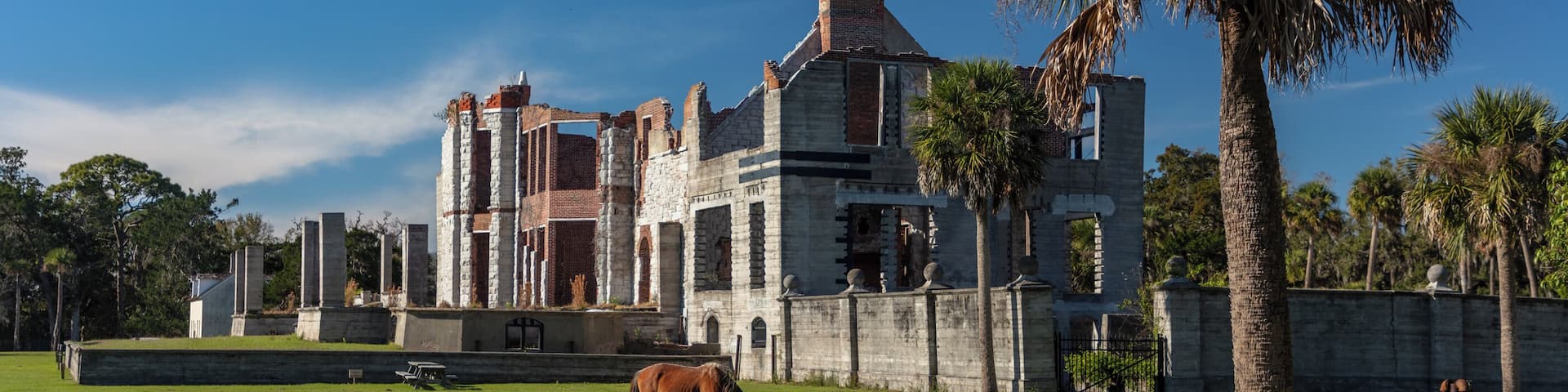 Dungeness on Cumberland Island, Georgia, is a ruined mansion that is part of a historic district that was the home of several families significant in American history. James Oglethorpe first built on Cumberland Island in 1736, building a hunting lodge that he named Dungeness. Oglethorpe named the place after Dungeness, in England. The next Dungeness was the legacy of Revolutionary War hero Nathanael Greene, who had acquired 11,000 acres of island land in exchange for a bad debt. His widow built a four-story tabby mansion in 1803, over a Timucuan shell mound. During the War of 1812 the island was occupied by the British, who used the house as a headquarters.
In 1818 Henry “Light-Horse Harry” Lee, a dashing cavalry commander during the Revolutionary War and father of Robert E. Lee, stayed at the house until his death on March 25, 1818, cared for by Greene's daughter Louisa, and was laid to rest in nearby cemetery with full military honors provided by an American fleet stationed at St. Marys, Georgia. The house was abandoned during the U.S. Civil War and burned in 1866.
In the 1880s the property was purchased by Thomas M. Carnegie, brother of Andrew Carnegie, who began to build a new mansion on the site. The 59-room Queen Anne style mansion and grounds were completed after Carnegie's death in 1886. His wife Lucy continued to live at Dungeness and built other estates for her children, including Greyfield for Margaret Carnegie, Plum Orchard for George Lauder Carnegie, and Stafford Plantation. By this time, the Carnegies owned 90% of the island.
The Carnegies moved out of Dungeness in 1925. In 1959 the Dungeness mansion was destroyed by fire, alleged to be arson. The ruins are today preserved by the National Park Service as part of Cumberland Island National Seashore. They were acquired by the Park Service in 1972.