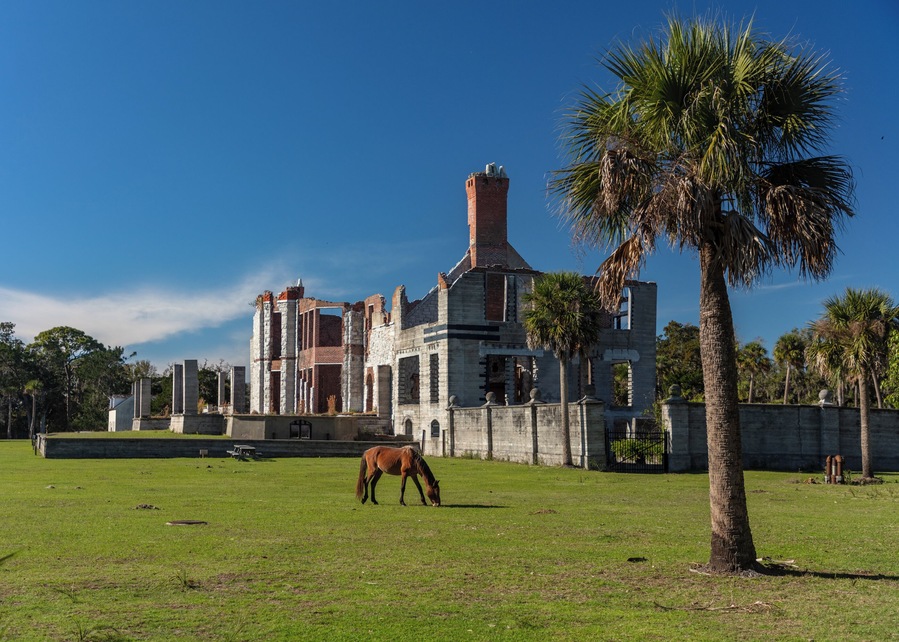 Dungeness on Cumberland Island, Georgia, is a ruined mansion that is part of a historic district that was the home of several families significant in American history. James Oglethorpe first built on Cumberland Island in 1736, building a hunting lodge that he named Dungeness. Oglethorpe named the place after Dungeness, in England. The next Dungeness was the legacy of Revolutionary War hero Nathanael Greene, who had acquired 11,000 acres of island land in exchange for a bad debt. His widow built a four-story tabby mansion in 1803, over a Timucuan shell mound. During the War of 1812 the island was occupied by the British, who used the house as a headquarters.
In 1818 Henry “Light-Horse Harry” Lee, a dashing cavalry commander during the Revolutionary War and father of Robert E. Lee, stayed at the house until his death on March 25, 1818, cared for by Greene's daughter Louisa, and was laid to rest in nearby cemetery with full military honors provided by an American fleet stationed at St. Marys, Georgia. The house was abandoned during the U.S. Civil War and burned in 1866.
In the 1880s the property was purchased by Thomas M. Carnegie, brother of Andrew Carnegie, who began to build a new mansion on the site. The 59-room Queen Anne style mansion and grounds were completed after Carnegie's death in 1886. His wife Lucy continued to live at Dungeness and built other estates for her children, including Greyfield for Margaret Carnegie, Plum Orchard for George Lauder Carnegie, and Stafford Plantation. By this time, the Carnegies owned 90% of the island.
The Carnegies moved out of Dungeness in 1925. In 1959 the Dungeness mansion was destroyed by fire, alleged to be arson. The ruins are today preserved by the National Park Service as part of Cumberland Island National Seashore. They were acquired by the Park Service in 1972.