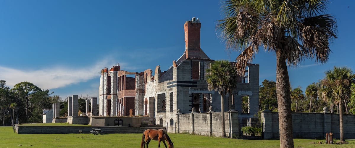 Dungeness on Cumberland Island, Georgia, is a ruined mansion that is part of a historic district that was the home of several families significant in American history. James Oglethorpe first built on Cumberland Island in 1736, building a hunting lodge that he named Dungeness. Oglethorpe named the place after Dungeness, in England. The next Dungeness was the legacy of Revolutionary War hero Nathanael Greene, who had acquired 11,000 acres of island land in exchange for a bad debt. His widow built a four-story tabby mansion in 1803, over a Timucuan shell mound. During the War of 1812 the island was occupied by the British, who used the house as a headquarters.
In 1818 Henry “Light-Horse Harry” Lee, a dashing cavalry commander during the Revolutionary War and father of Robert E. Lee, stayed at the house until his death on March 25, 1818, cared for by Greene's daughter Louisa, and was laid to rest in nearby cemetery with full military honors provided by an American fleet stationed at St. Marys, Georgia. The house was abandoned during the U.S. Civil War and burned in 1866.
In the 1880s the property was purchased by Thomas M. Carnegie, brother of Andrew Carnegie, who began to build a new mansion on the site. The 59-room Queen Anne style mansion and grounds were completed after Carnegie's death in 1886. His wife Lucy continued to live at Dungeness and built other estates for her children, including Greyfield for Margaret Carnegie, Plum Orchard for George Lauder Carnegie, and Stafford Plantation. By this time, the Carnegies owned 90% of the island.
The Carnegies moved out of Dungeness in 1925. In 1959 the Dungeness mansion was destroyed by fire, alleged to be arson. The ruins are today preserved by the National Park Service as part of Cumberland Island National Seashore. They were acquired by the Park Service in 1972.