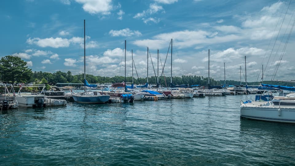 A marina with various boats docked, surrounded by trees and a clear sky.