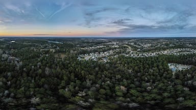 Aerial sunset landscape of forest and suburban neighborhood in Grovetown Augusta Georgia
