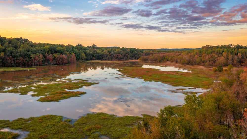 Dyar's Pasture, Madison, Georgia, USA is a freshwater wetland and bird sanctuary.