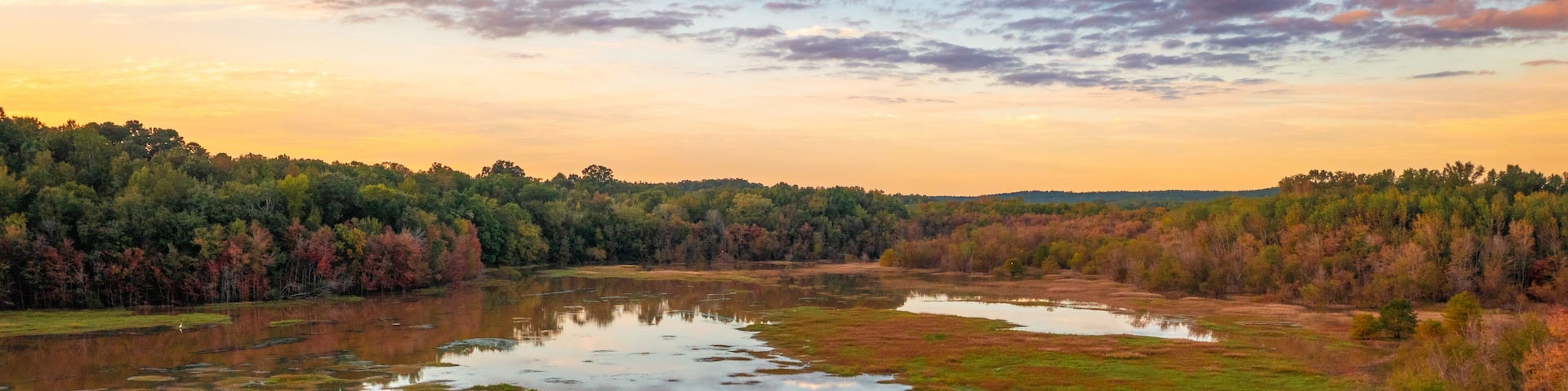 Dyar's Pasture, Madison, Georgia, USA is a freshwater wetland and bird sanctuary.
