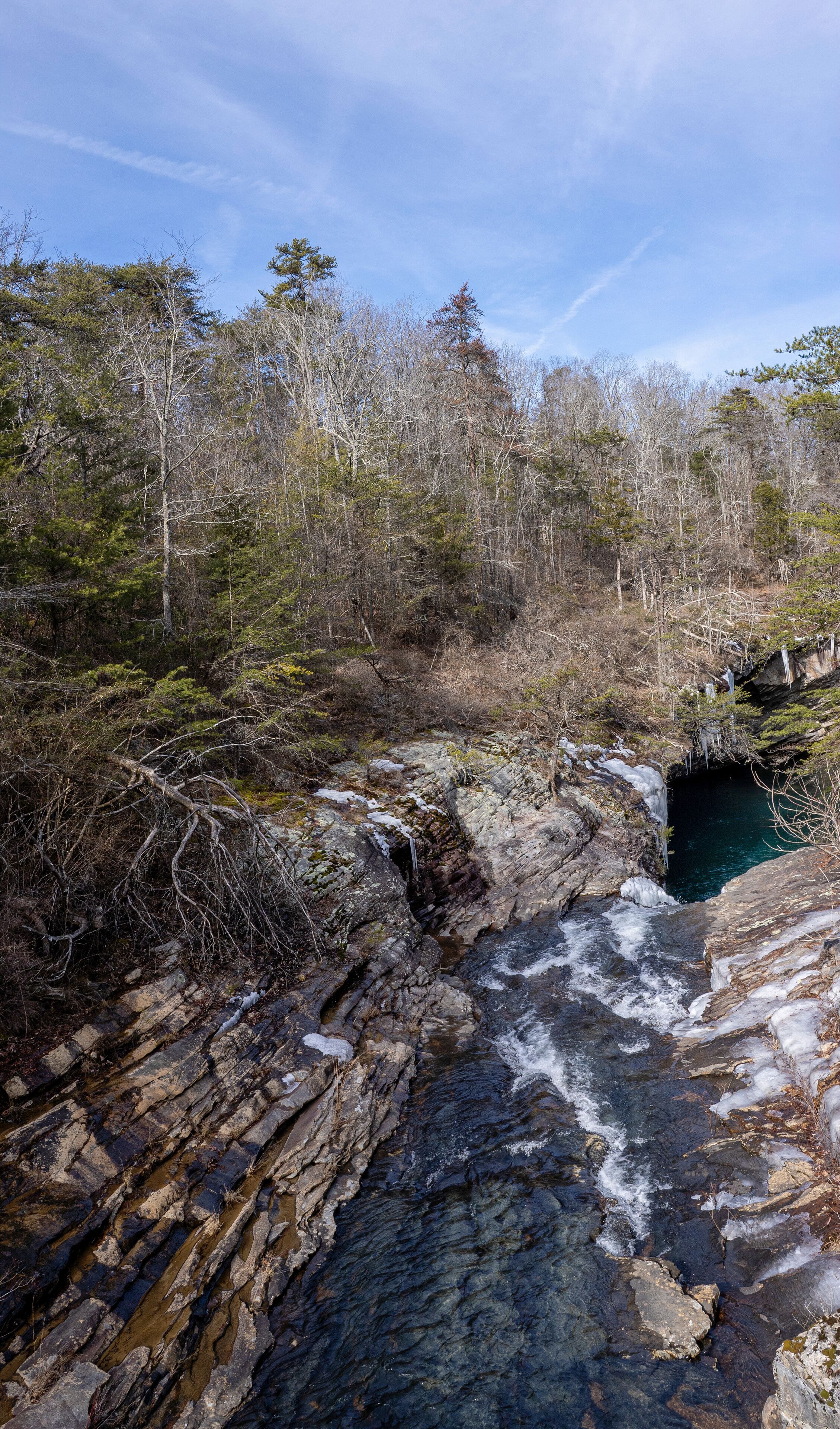 Un arroyo pedregoso con agua cristalina que fluye entre rocas, rodeado de un bosque denso y árboles.