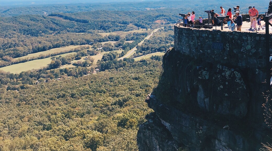 Looking over seven states #seesevenstates #lookoutmountain #mountain #georgia #tennessee #Adventure