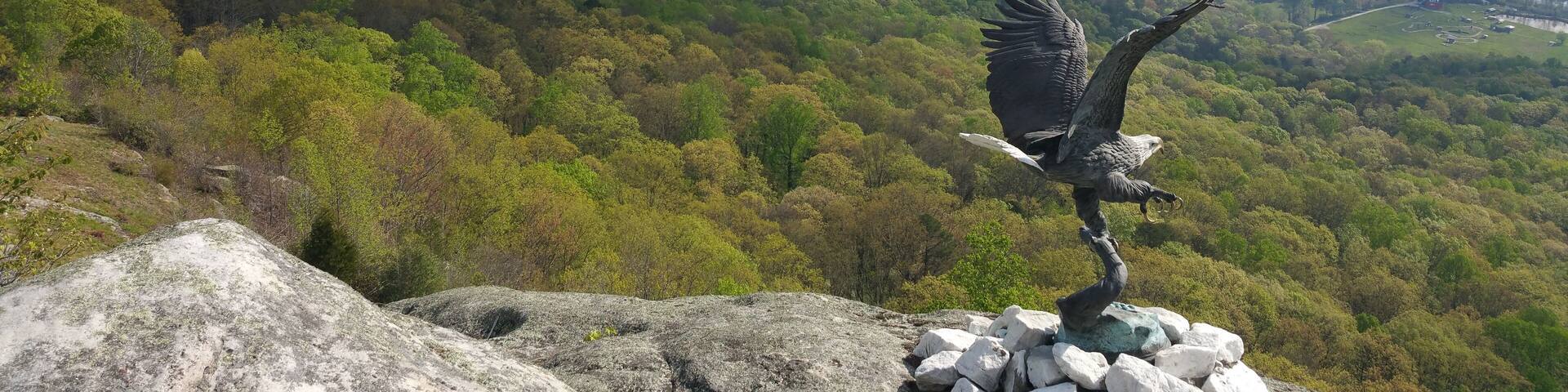 A bird statue on a rock with a view of a forested valley and distant buildings.