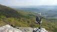 Une statue d’oiseau, posée sur un rocher, d’où l’on peut admirer une vallée boisée et des bâtiments situés au loin.