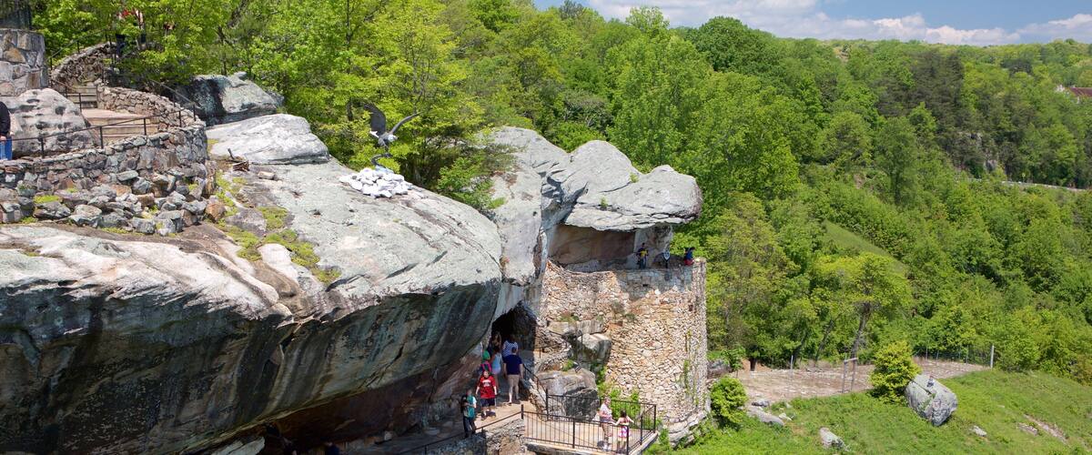Lookout Mountain som visar skogar och utsikter såväl som en liten grupp av människor