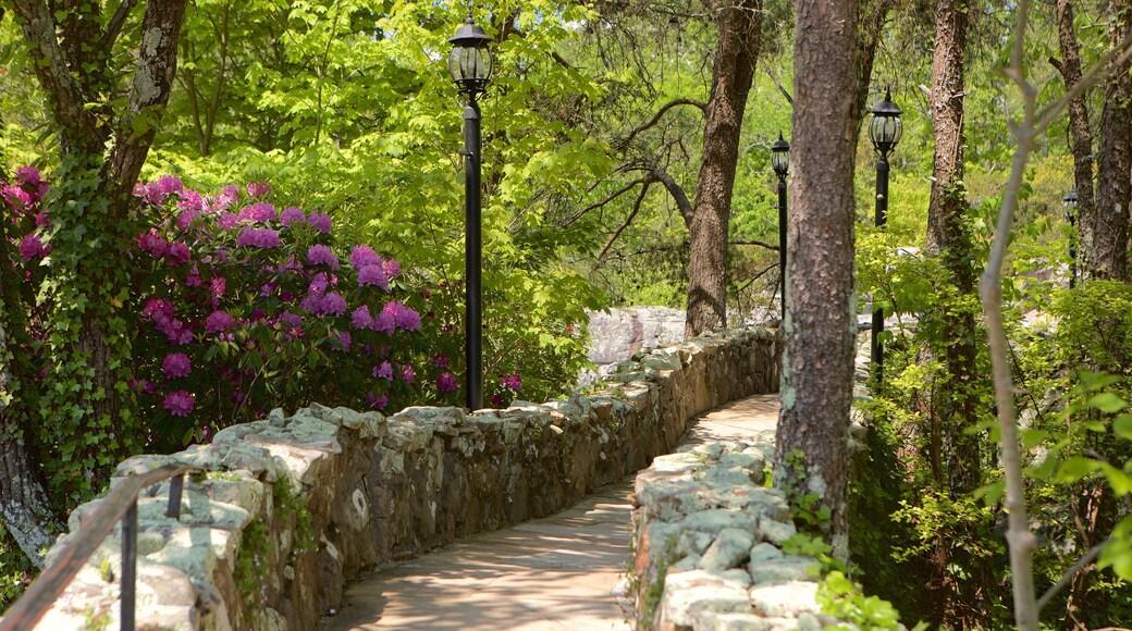 Lookout Mountain mit einem Garten