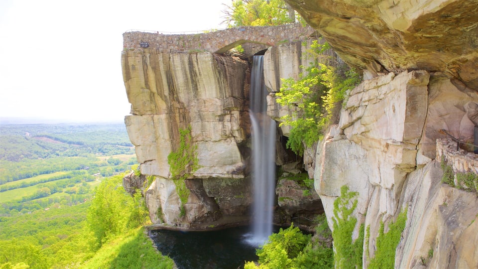 A waterfall cascading down a rocky cliff with a stone bridge labeled "Lover's Leap" above it.