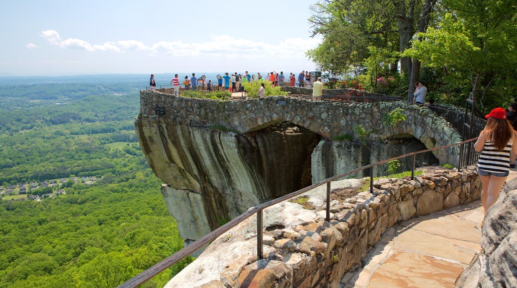 Lookout Mountain ofreciendo vistas y situaciones tranquilas y también un grupo grande de personas