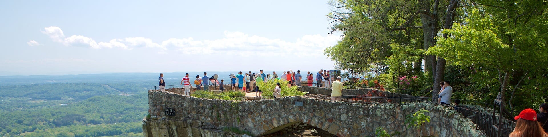 Lookout Mountain showing views and tranquil scenes as well as a large group of people