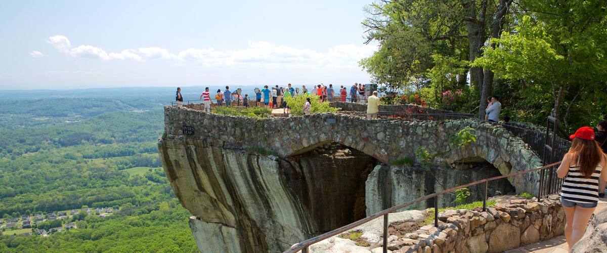 Lookout Mountain featuring views and tranquil scenes as well as a large group of people