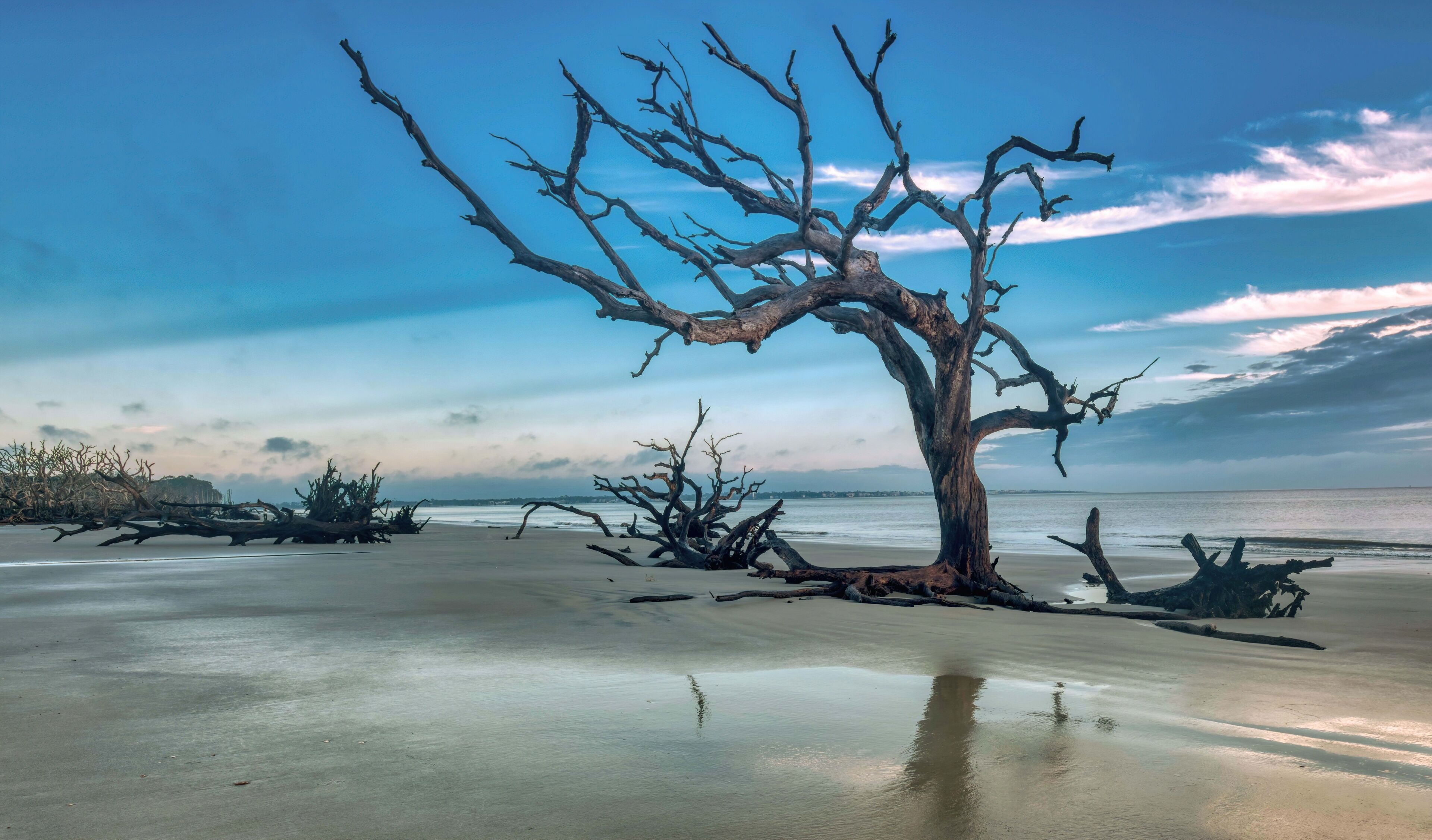 Sea Island