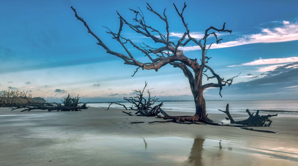 Sea Island